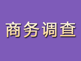 阜阳商务调查